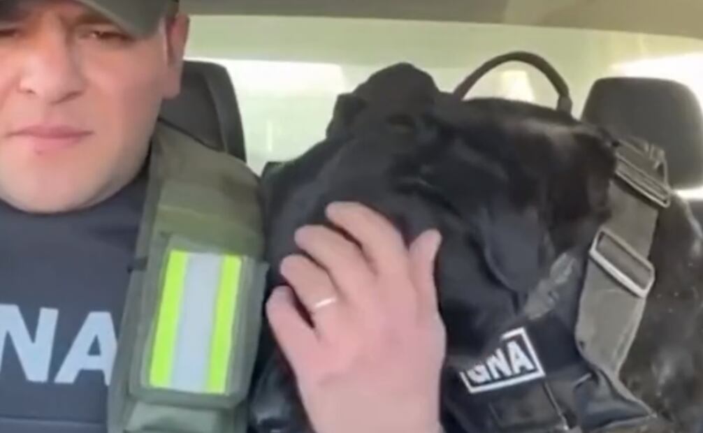 Foto: Captura pantalla TikTok @martinpuck