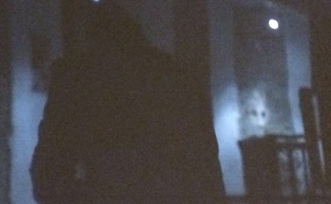 En una de las secuencias finales de "Forward" se puede ver un rostro arriba del barandal  FOTO: CÉSAR HUERTA / EL UNIVERSAL