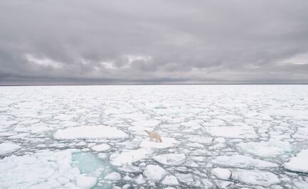 NASA: El calentamiento global cambia el destino del Ártico para siempre