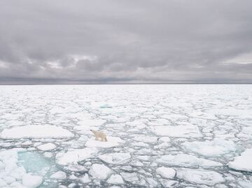 NASA: El calentamiento global cambia el destino del Ártico para siempre