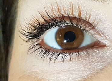 Luce pestañas de impacto con el poder del aguacate