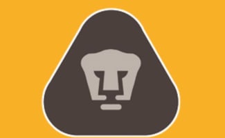 Los Pumas tienen un nuevo refuerzo en el ataque