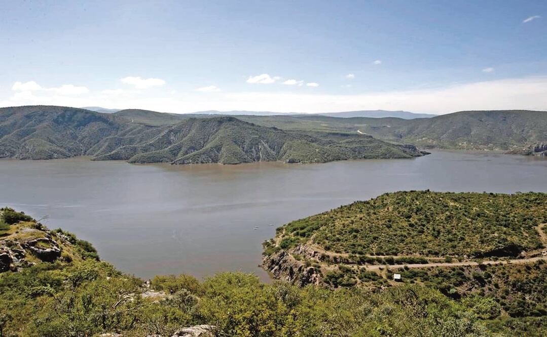 Foto: Archivo/EL UNIVERSAL