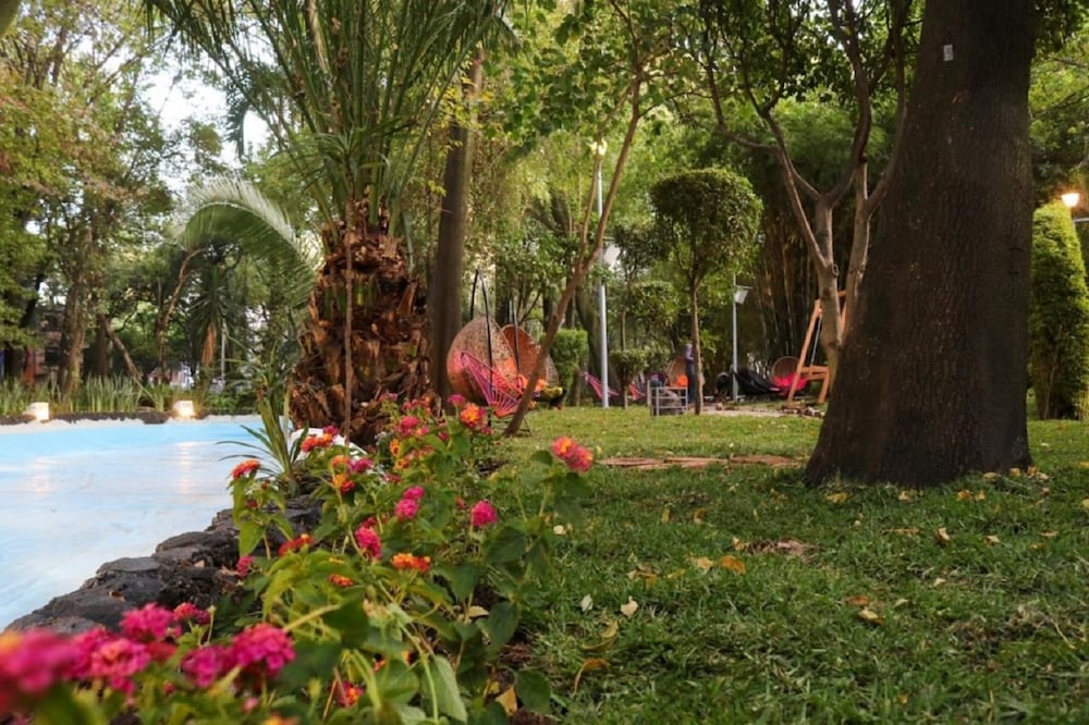 El audiorama de Parque México es un de los más recientes de la Ciudad de México. / Foto: Cortesía Alcaldía Cuauhtémoc
