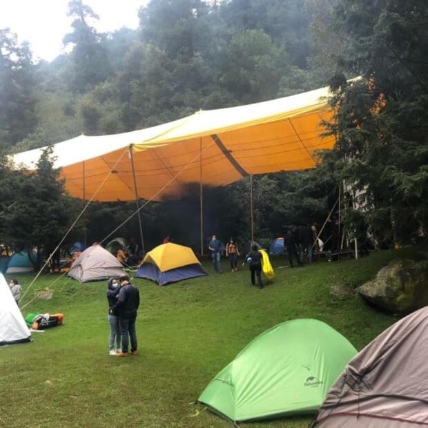Noctambulante: campamento y cine de terror en un bosque de CDMX