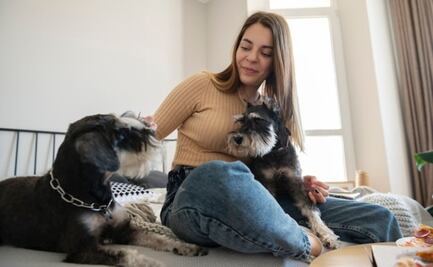 Las 10 cosas que debes saber para cuidar a un perro, según expertos