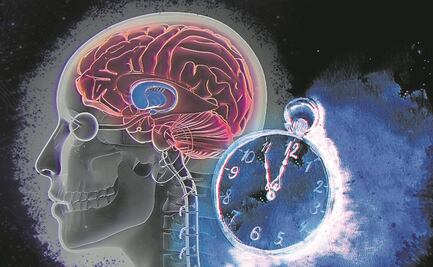 Determinan mecanismo que regula el ritmo de la glucosa en la sangre