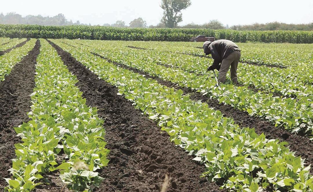 Foto: ARCHIVO EL UNIVERSAL