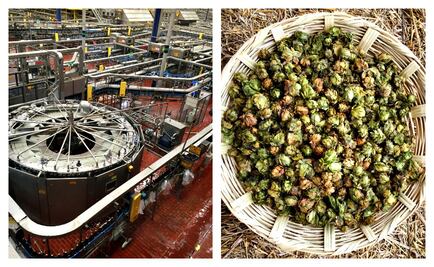 Conoce la planta cervecera más grande del mundo