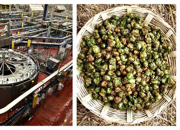 Conoce la planta cervecera más grande del mundo