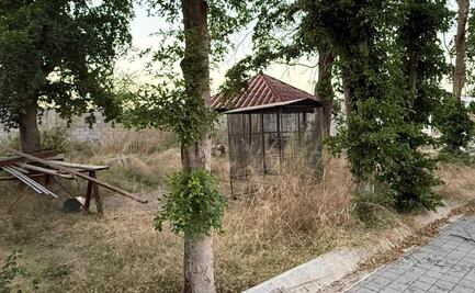 Colectivo "Padres y Madres de Hijos Desaparecidos" hallan restos óseos en fosa clandestina ubicada en Culiacancito, Sinaloa