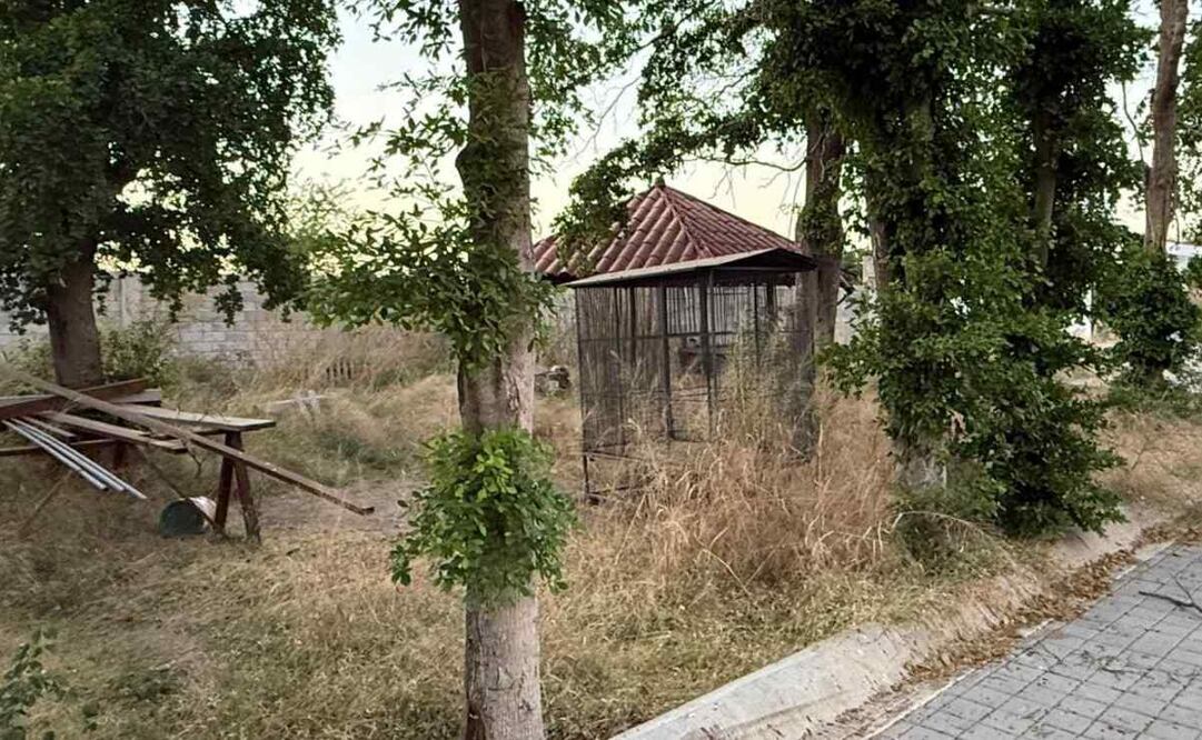 Localizan restos óseos en fosa clandestina en Culiacancito, Sinaloa.
Foto: Especial.