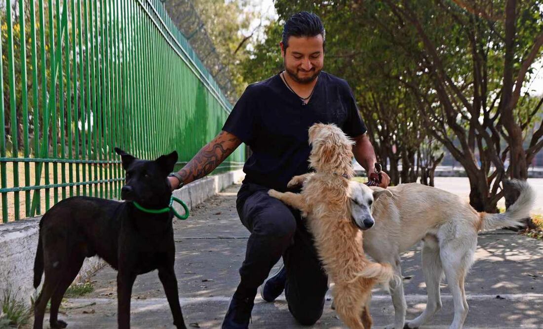 Proponen la creación de una Brigada de Vigilancia Animal en la CDMX. Imagen ilustrativa. Foto: Diego Simón / EL UNIVERSAL