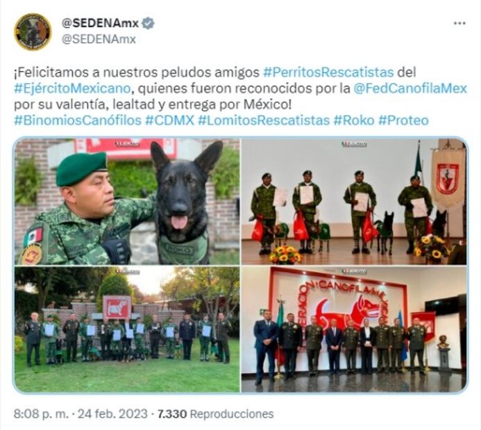 ¡Héroes! Reconocen a perros rescatistas de Sedena por valentía y lealtad 