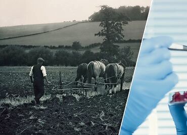 Carne sintética, un volado ecológico