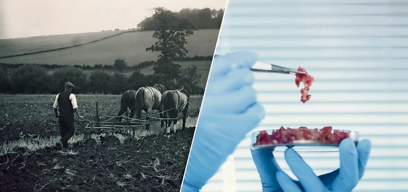 Entre las ventajas de la carne sintética, los especialistas consideran la parte ética, porque no se sacrificarán tantos animales, de tierra y mar, como hasta ahora. Foto: Bill Gates