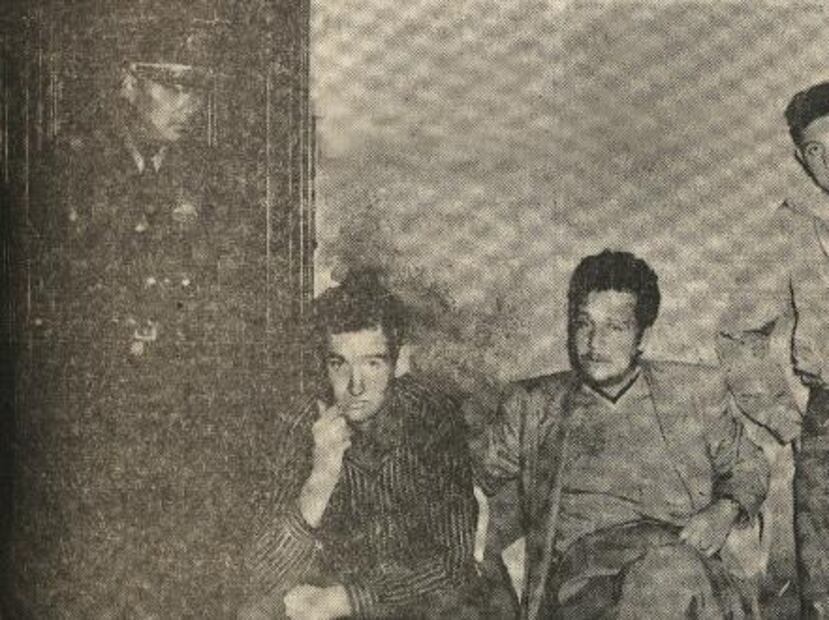 Una elefanta anduvo suelta en la ciudad