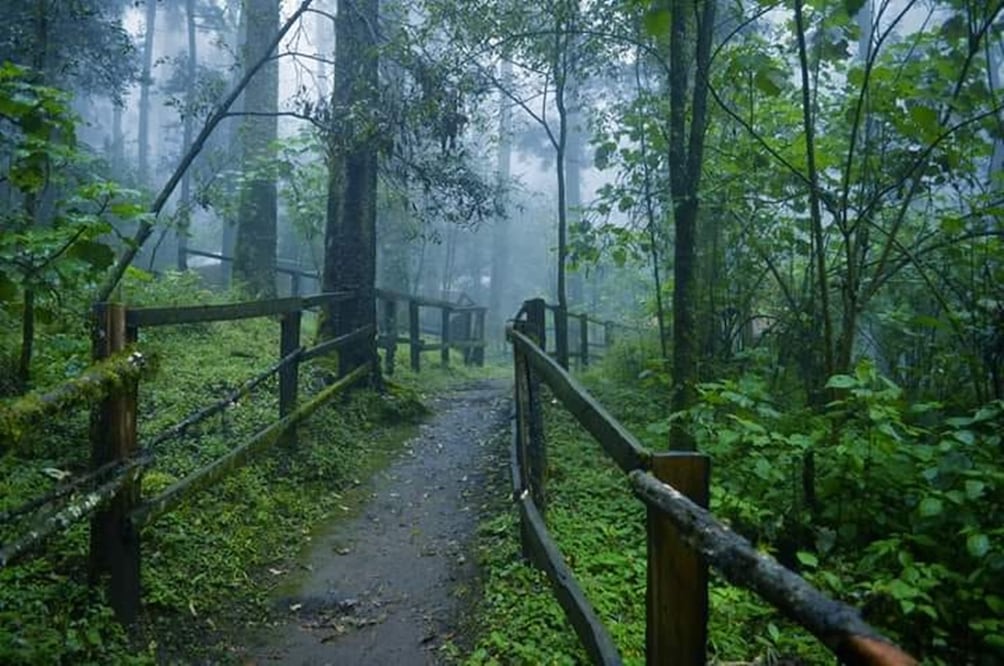En el Mineral del Chico podrás disfrutar del frío y realizar actividades de montaña en el Parque Nacional El Chico / Foto: Facebook Pueblo Mágico Mineral del Chico