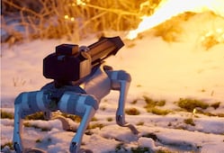 ONU y Cruz Roja urgen a regular las armas autónomas; alertan sobre probabilidad de que robots ataquen a humanos