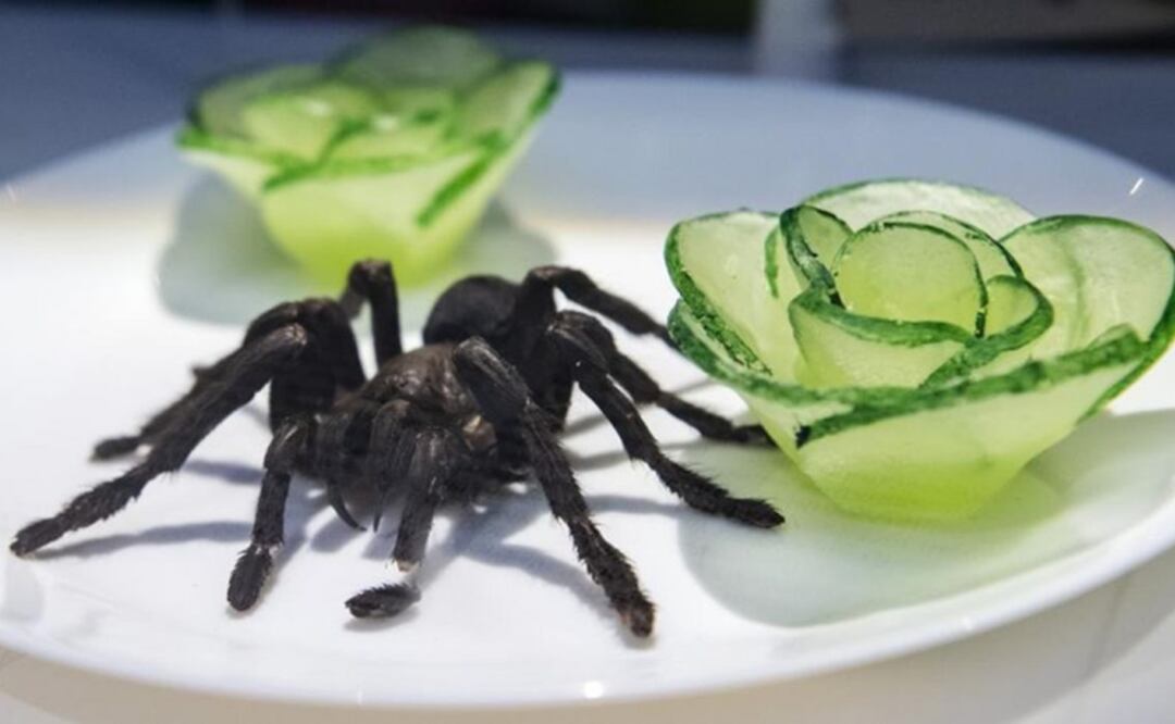 Algunos platos están presentes en video, como el corazón palpitante de cobra, una especialidad de Vietnam que debe degustarse en su sangre. Foto: AFP
