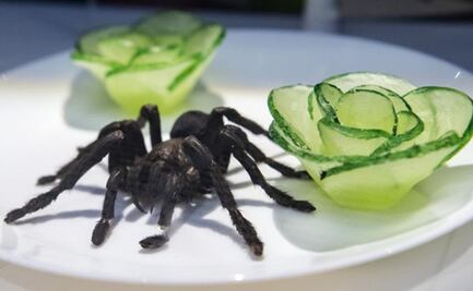¿Probarías el estofado de cabeza de cabra? Visita el Museo de la Comida Asquerosa