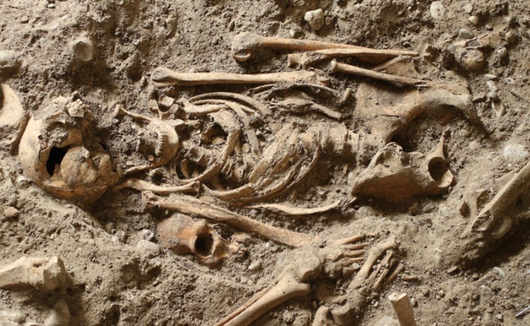 Los restos se encontraron en el Instituto Kantonsschule de Zúrich. Foto: Kanton Zürich Baudirektion