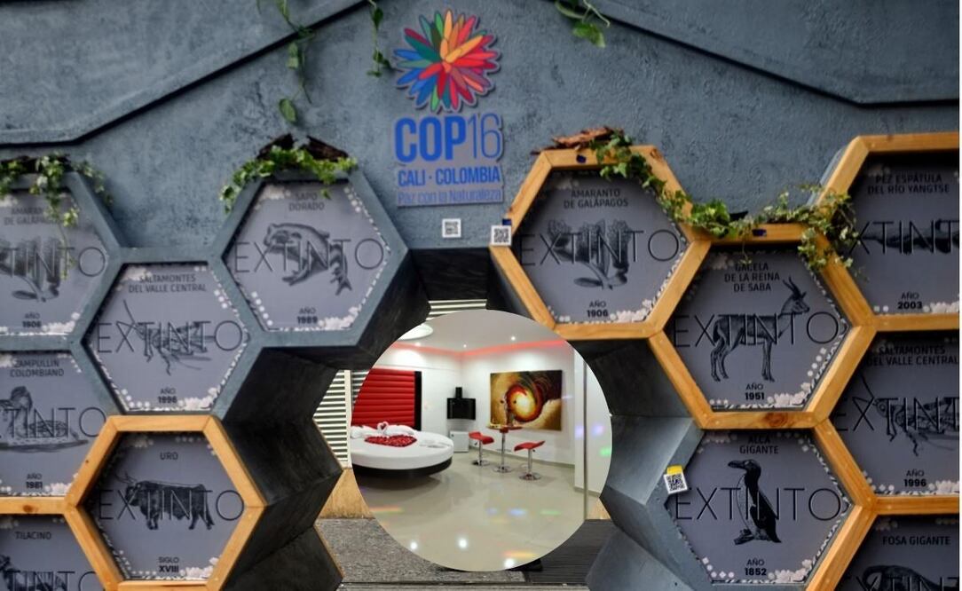 Durante la cumbre sobre biodiversidad de la ONU en Cali, Colombia, delegados, como Aggrey Rwetsiba de Uganda, se hospedan en moteles adaptados para la ocasión debido a la saturación de hoteles. Fotos: Motel Deseos y AFP