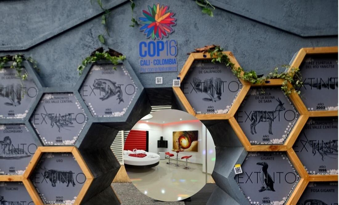 Durante la cumbre sobre biodiversidad de la ONU en Cali, Colombia, delegados, como Aggrey Rwetsiba de Uganda, se hospedan en moteles adaptados para la ocasión debido a la saturación de hoteles. Fotos: Motel Deseos y AFP