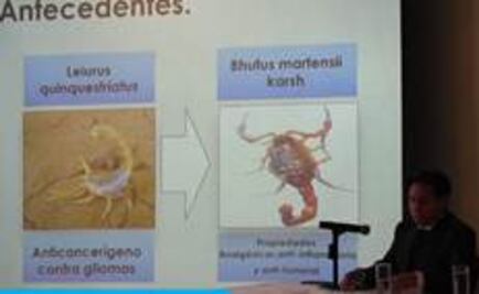 Anuncian medicamento contra el cáncer hecho con veneno de escorpión