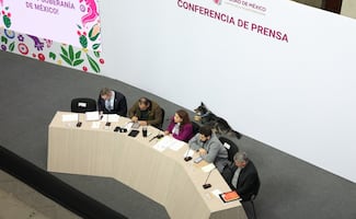 Clara Brugada cuestiona a animalistas que siguen manifestándose a favor del Refugio Franciscano; “¿cuál es el objetivo?”, pregunta