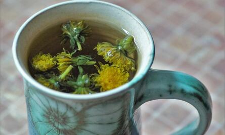 Descubre los beneficios que te da una infusión de diente de león