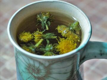 Descubre los beneficios que te da una infusión de diente de león