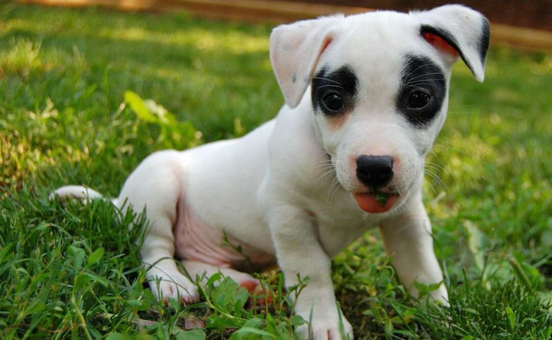 No podrás creer seis de las cosas, o personas, que puedes rentar para hacer más cómodo tu viaje. (Foto: Rob Swatski)