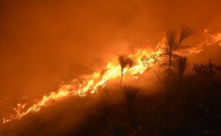 Reportan incendio forestal fuera de control en la sierra de Guerrero