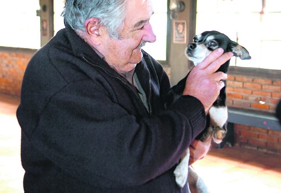 El expresidente uruguayo, José Mujica, con su perrita Manuela. FOTO: ESPECIAL