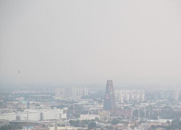 Más de 40 mil muertes anuales atribuibles a la contaminación atmosférica, dice diputada