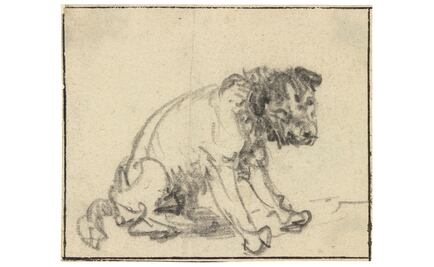 Museo alemán descubre un dibujo de Rembrandt