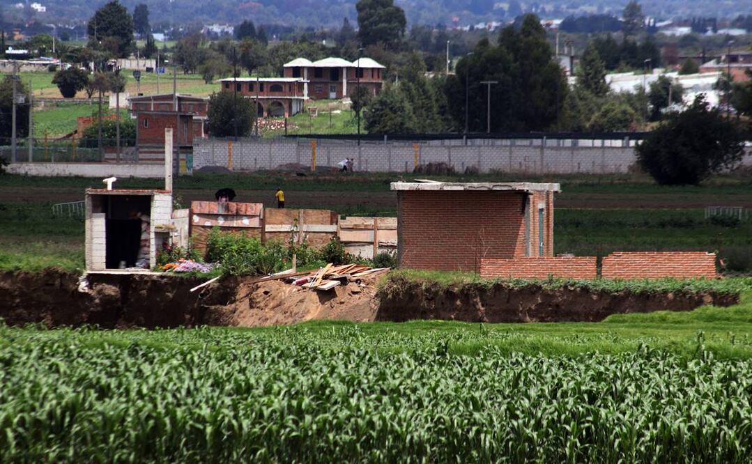 Foto: Omar Contreras/EL UNIVERSAL