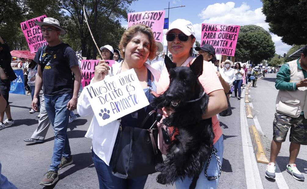 Marcha Maltrato Animal en CDMX. / Omar Contreras, EL UNIVERSAL.