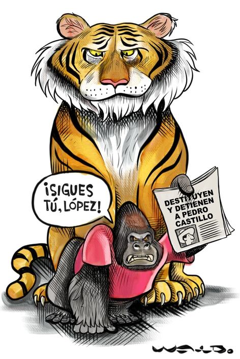 El ojo del tigre