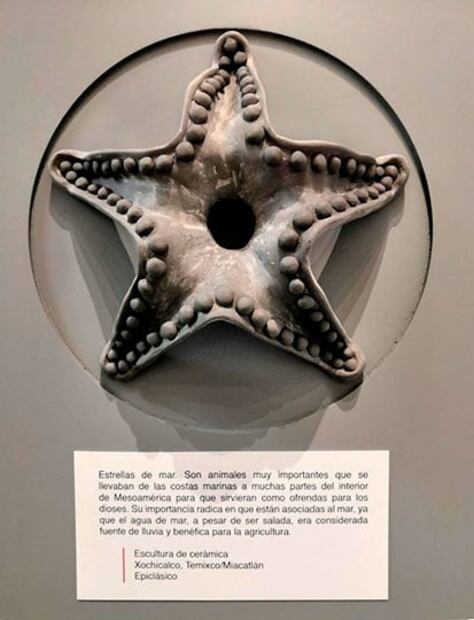 Abre de manera parcial el Museo Regional Cuauhnáhuac