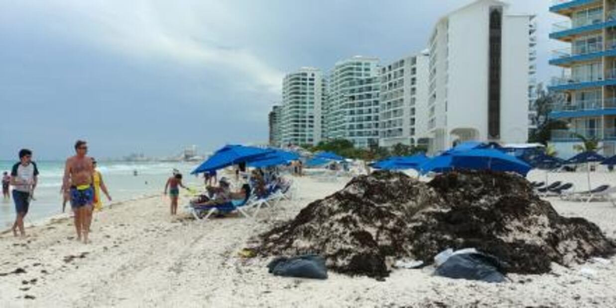 Playas de Cancún amanecen libres de sargazo