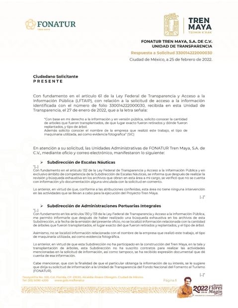 Ignoran cifra de árboles talados por Tren Maya