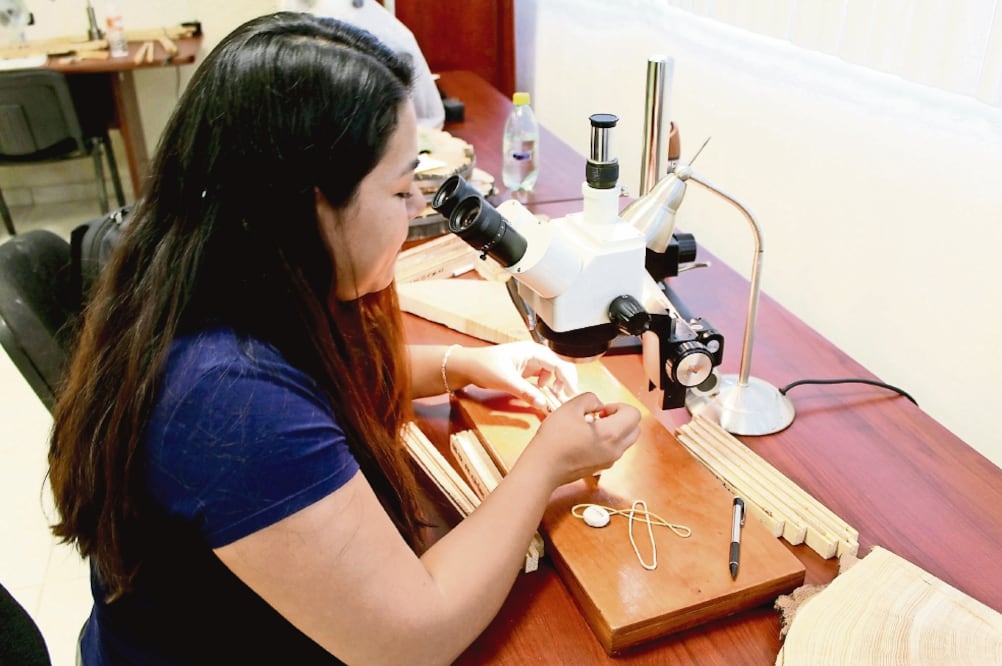 A través del estudio de la corteza, el único laboratorio de dendro cronología del país —que se ubica en Durango— ha generado más de 250 series de datos climáticos, útiles para prevenir desastres