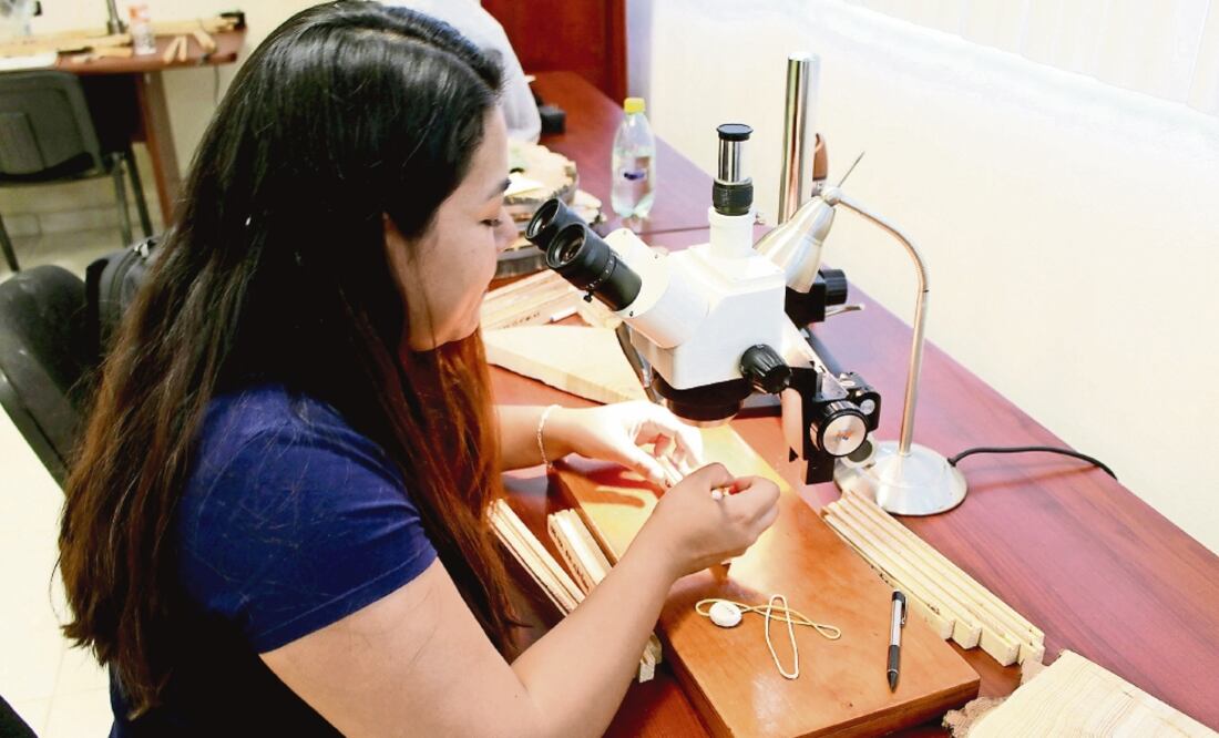 A través del estudio de la corteza, el único laboratorio de dendro cronología del país —que se ubica en Durango— ha generado más de 250 series de datos climáticos, útiles para prevenir desastres