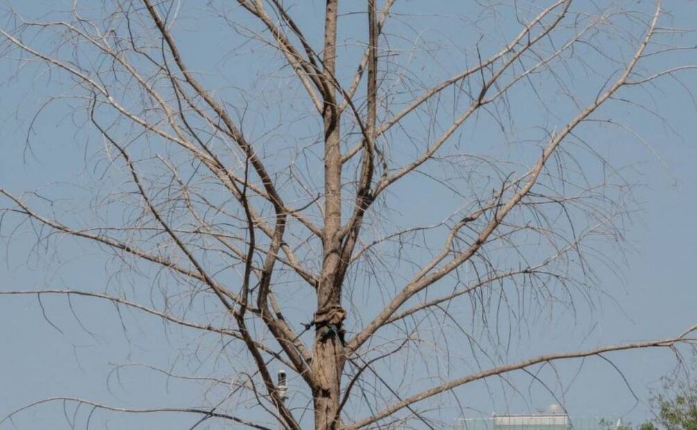 Foto: Archivo Cuartoscuro