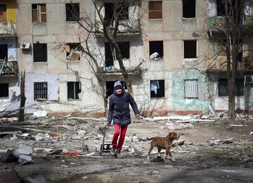 Como en Bucha, en Mariupol también hay cuerpos y los perros se los comen, narran ucranianos