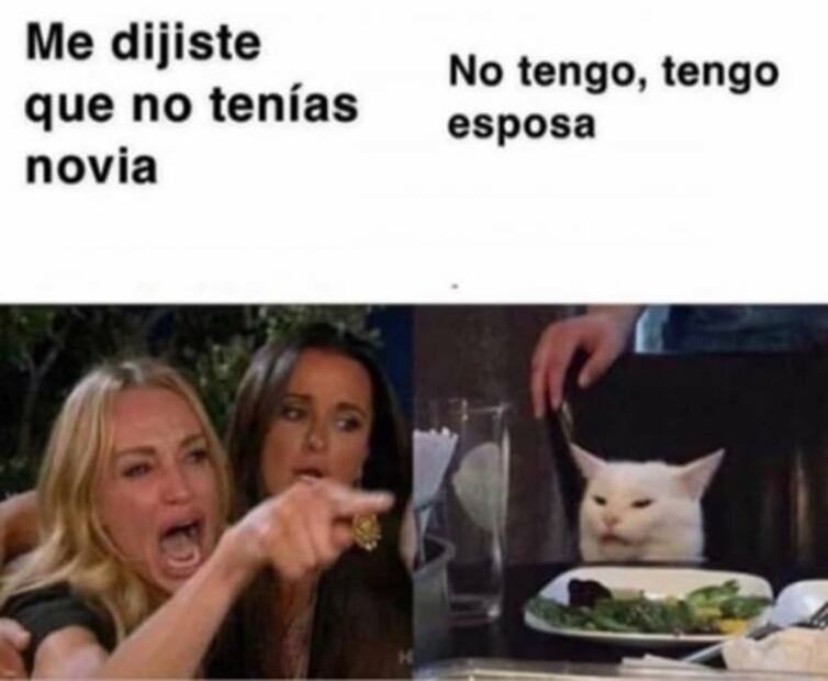 ¿De dónde salió el meme de la mujer y el gato?