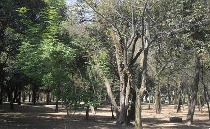 PAN inicia campaña ciudadana pedir rehabilitar Chapultepec