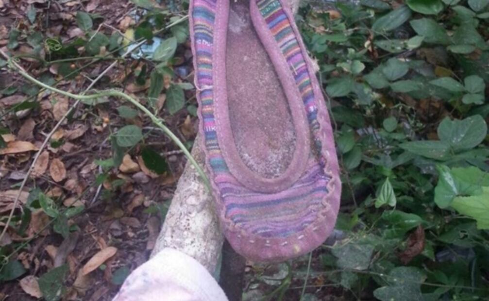 Un mundo de sangre, de fluidos, de gusanos blancos